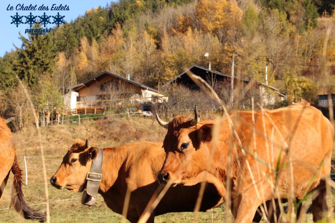 Le Chalet Des Eulets Bourg-Saint-Maurice Exterior foto